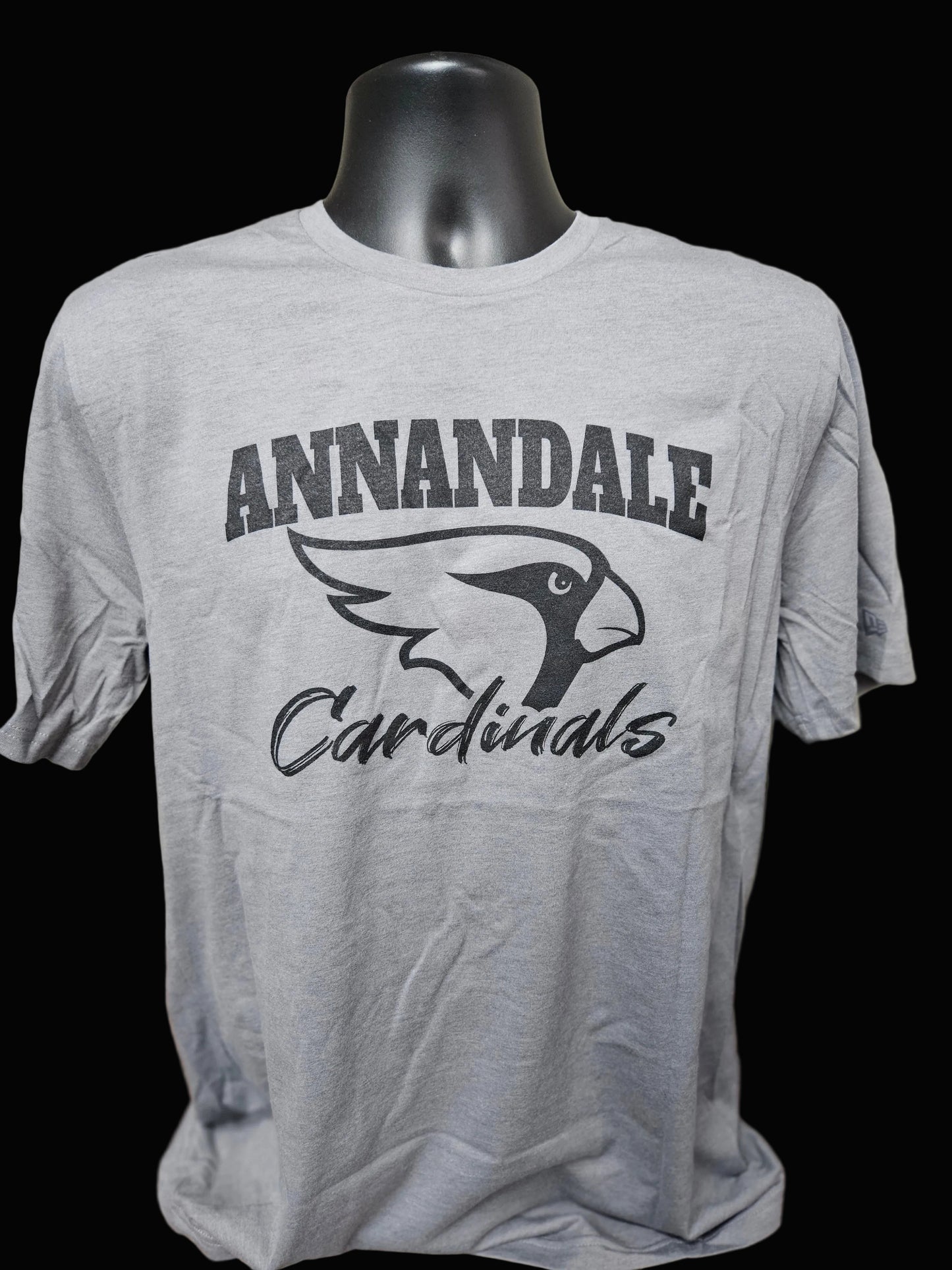 Annandale Cardinals Short Sleeve - New Era